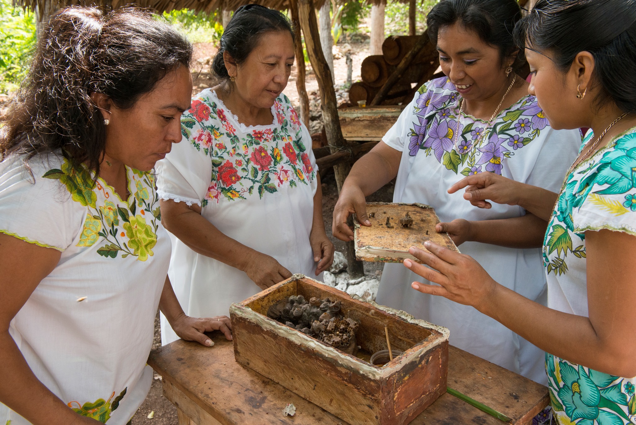 Educampo | Santi Hive