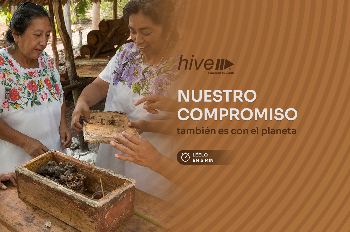 Educampo y las abejas meliponas de Yucatán